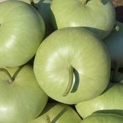 Kalebassen - Flaschenkürbi Kalebassen - Flaschenkürbi